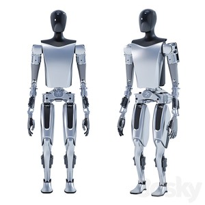 Tesla bot