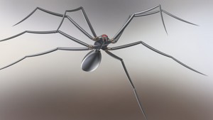 Metal Spider